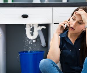 About Plumbers Pros Wellington, AL